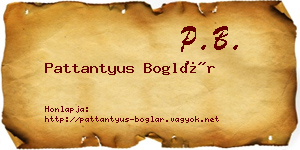 Pattantyus Boglár névjegykártya